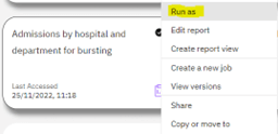 report must be run with the ‘Run As’ option