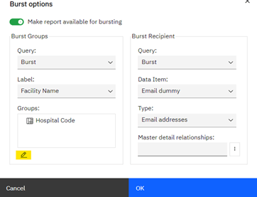 burst options summary