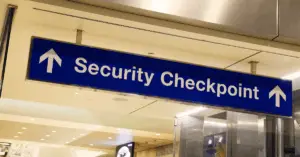agentic ai security